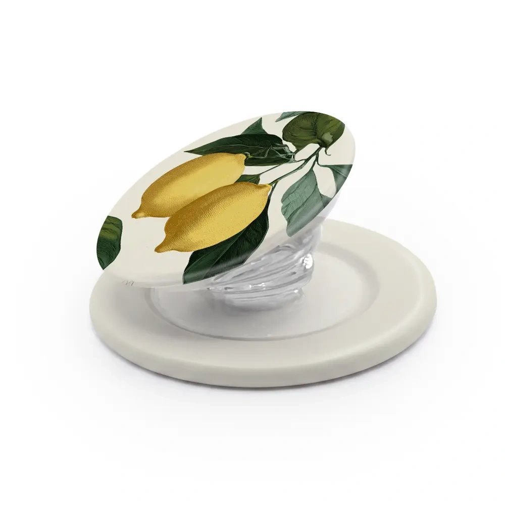 MagSafe PopSocket Mobiwear - vzor HB02E