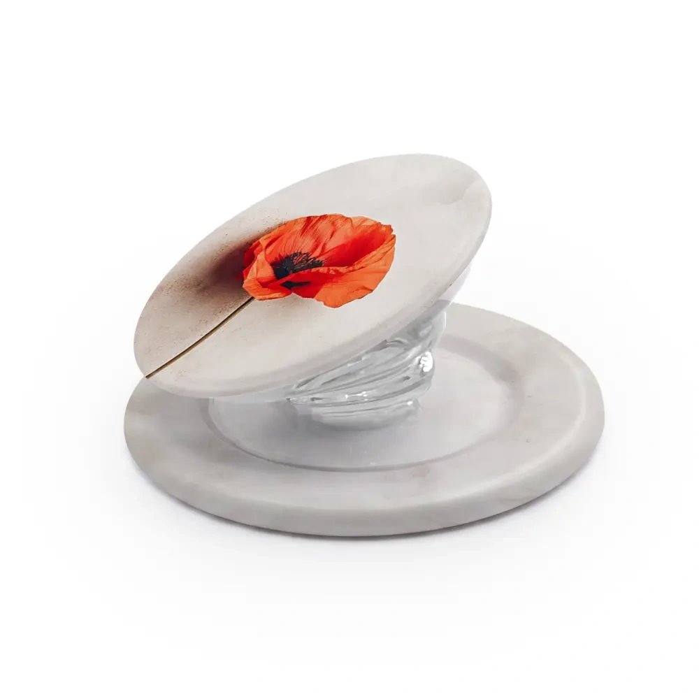 MagSafe PopSocket Mobiwear - vzor HP42E