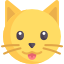 Kočičky