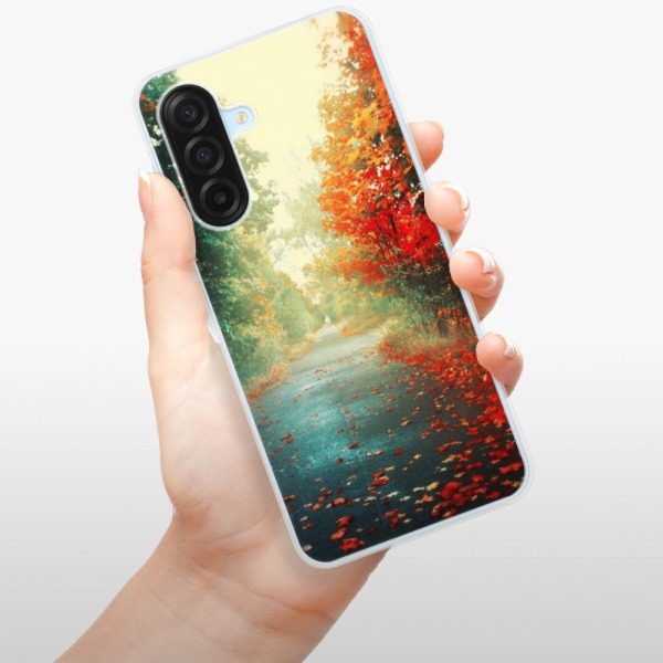 Silikonový kryt iSaprio - Samsung Galaxy A17 / A17 5G - Autumn 03