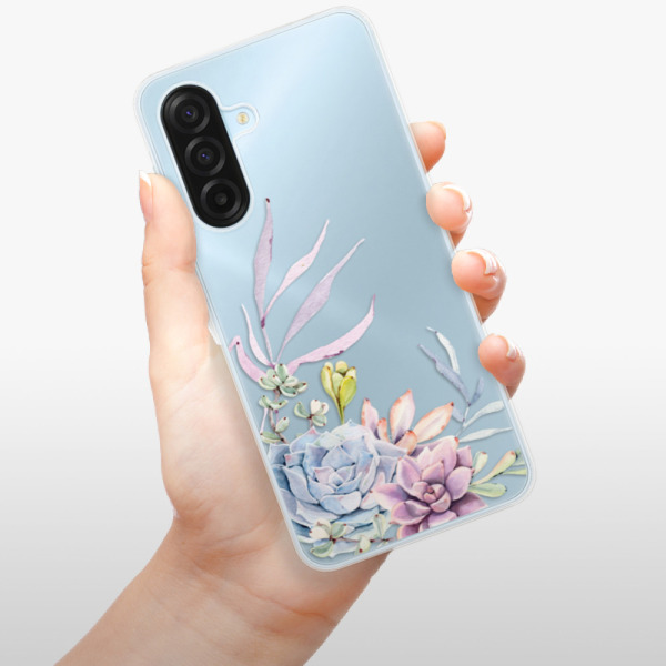 Silikonový kryt iSaprio - Samsung Galaxy A17 / A17 5G - Sukulent 01