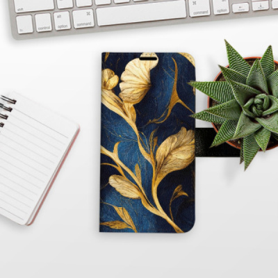 Flip pouzdro iSaprio na mobil Motorola Moto G54 5G - GoldBlue s kapsičkami na karty
